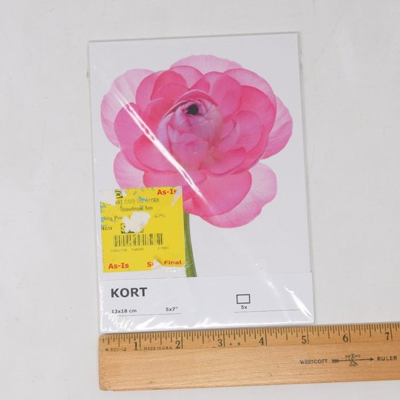 IKEA Kort Art Cards 5x7" Flora Set of 5 Floral Flowers Gallery Prints Retired - Picture 3 of 15